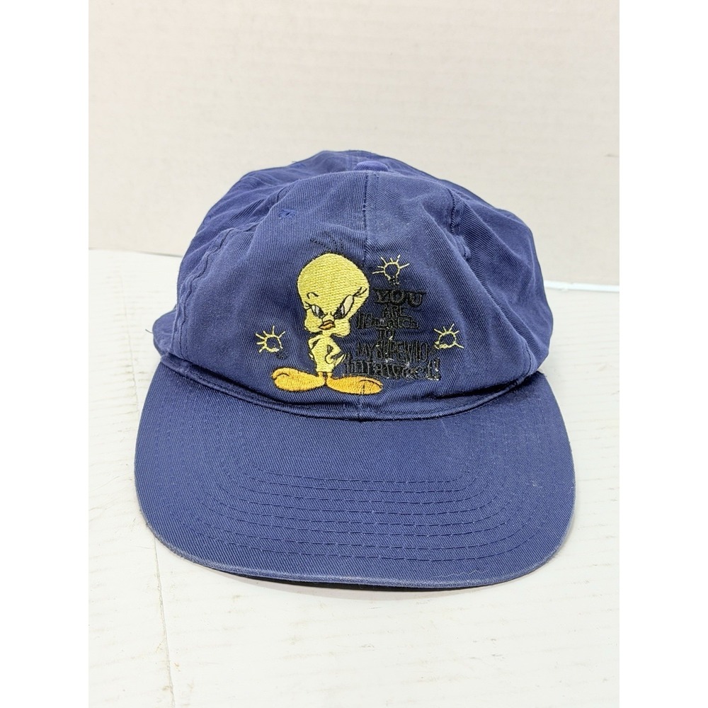 Vintage 1997 Looney Tunes Blues Tweety Bird Snapback Hat Warner Bros Cap